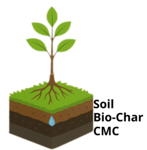 Biochar